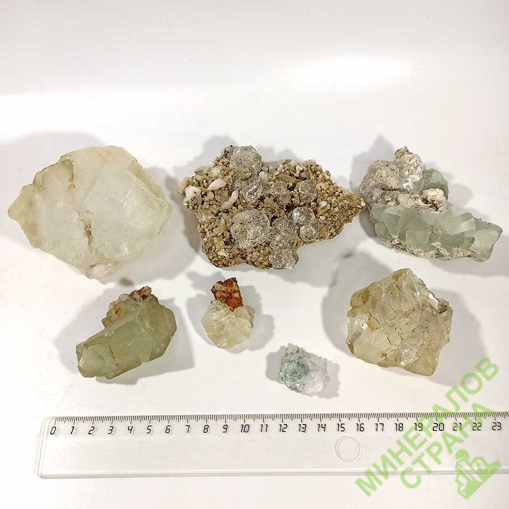 Blog