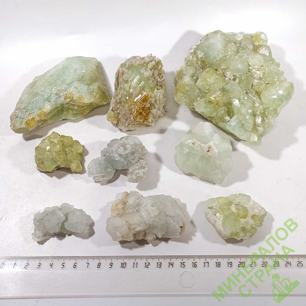 Blog