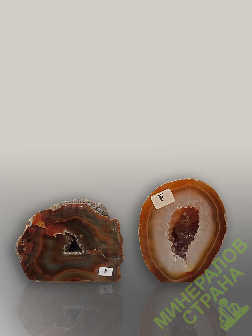 Card image cap
