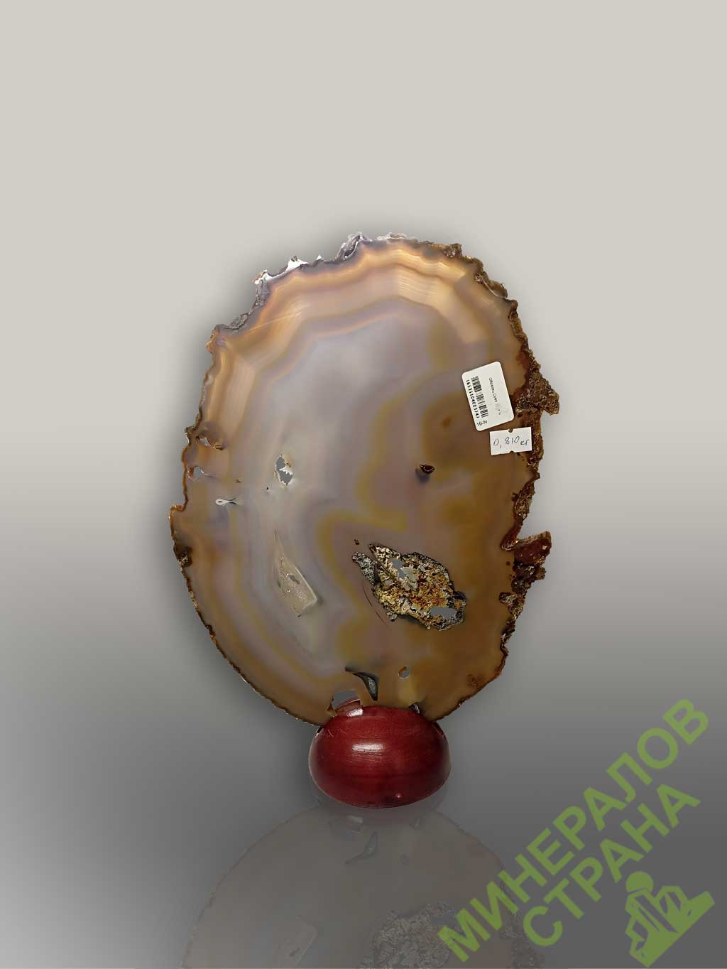 Card image cap
