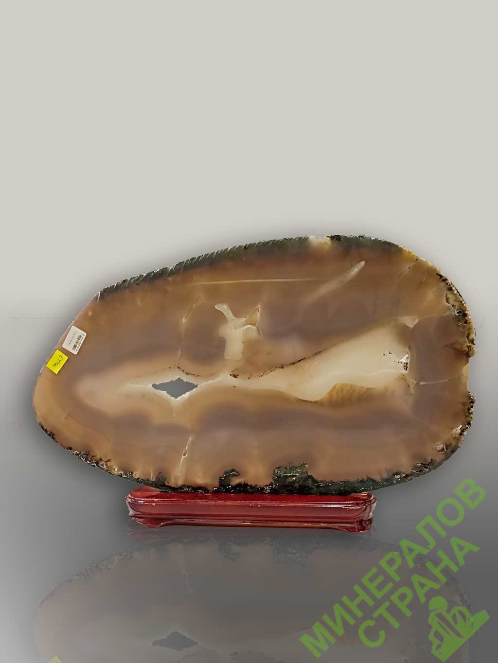 Card image cap