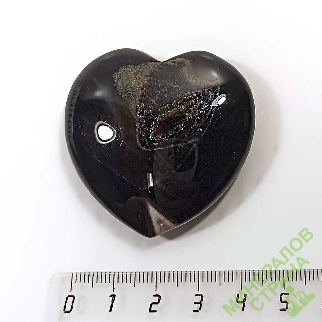 Card image cap